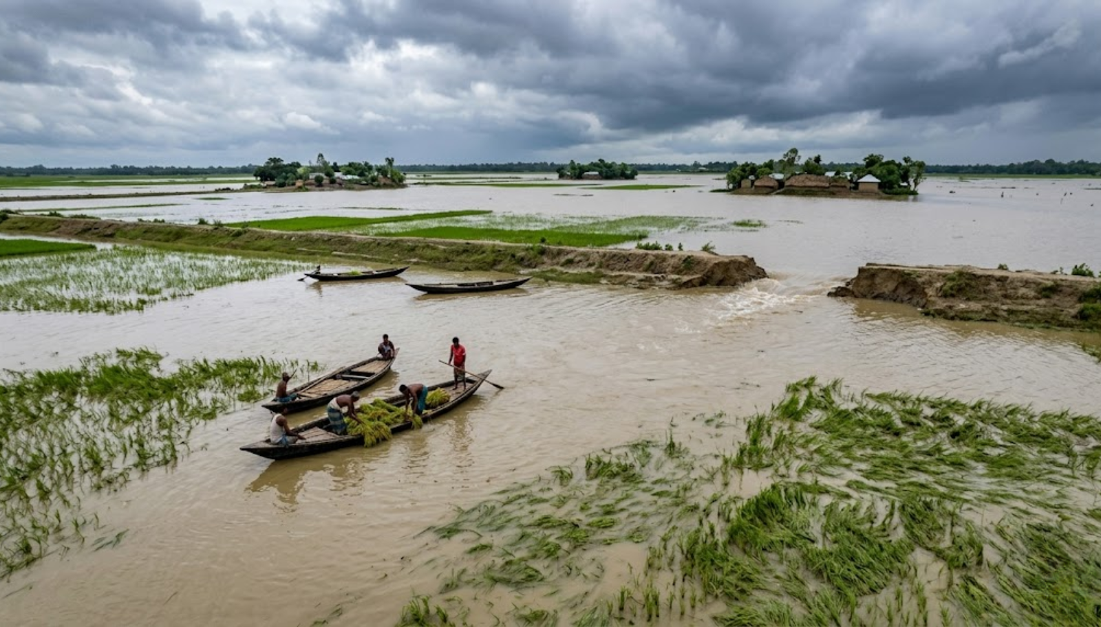 From Wetland Fragility to Systemic Risk: Rethinking Bangladesh’s Haor Crisis
