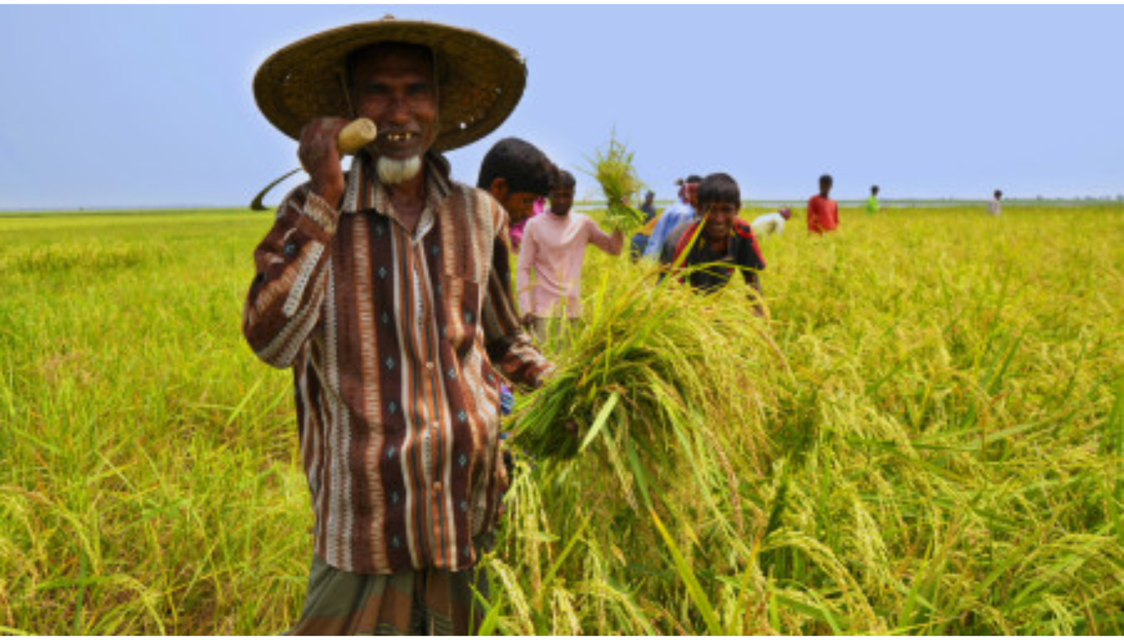 Bangladesh Agriculture in UNSDG Framework